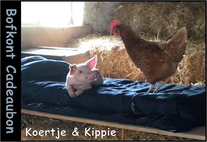 Koertje & Kippie