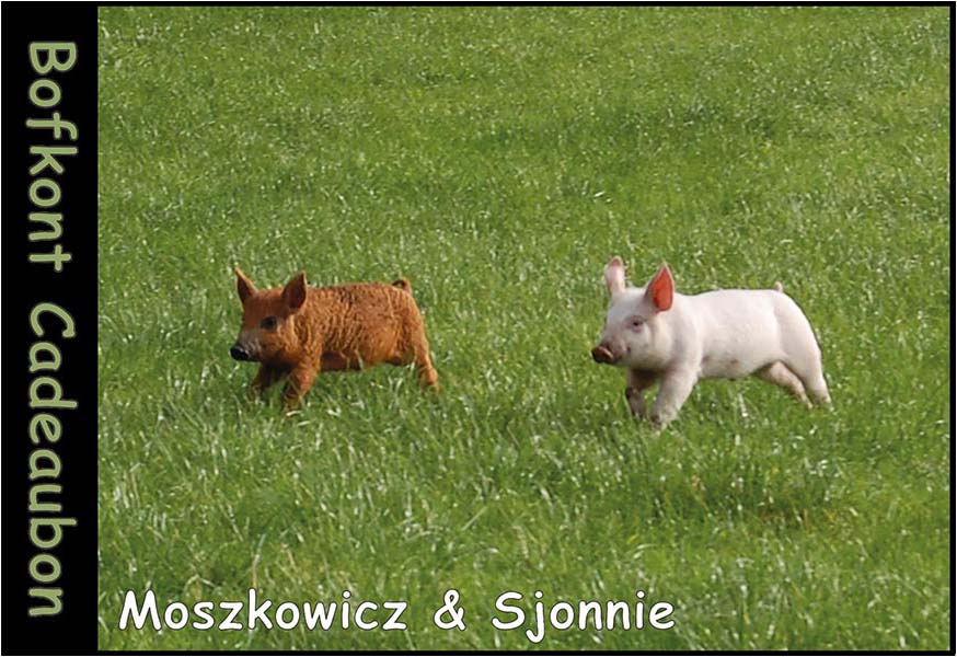 Moszkowicz & Sjonnie