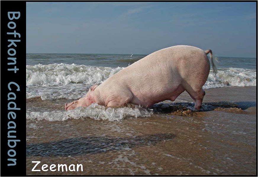 Zeeman