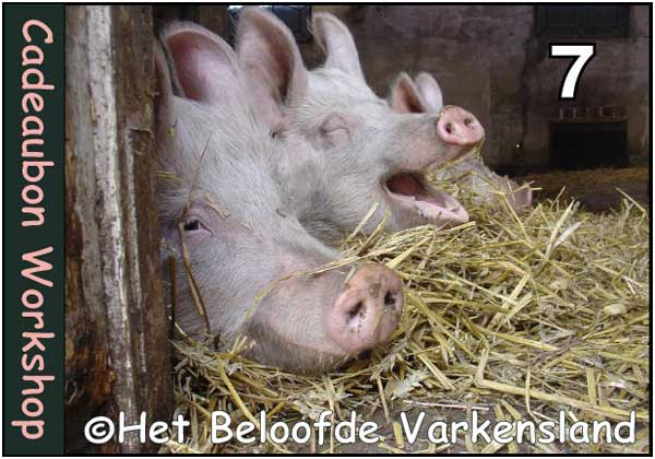 cadeaubon Familie Bofkont Workshop - De Drie Musketiers; Gieltje, Brammetje, Bonestaakje